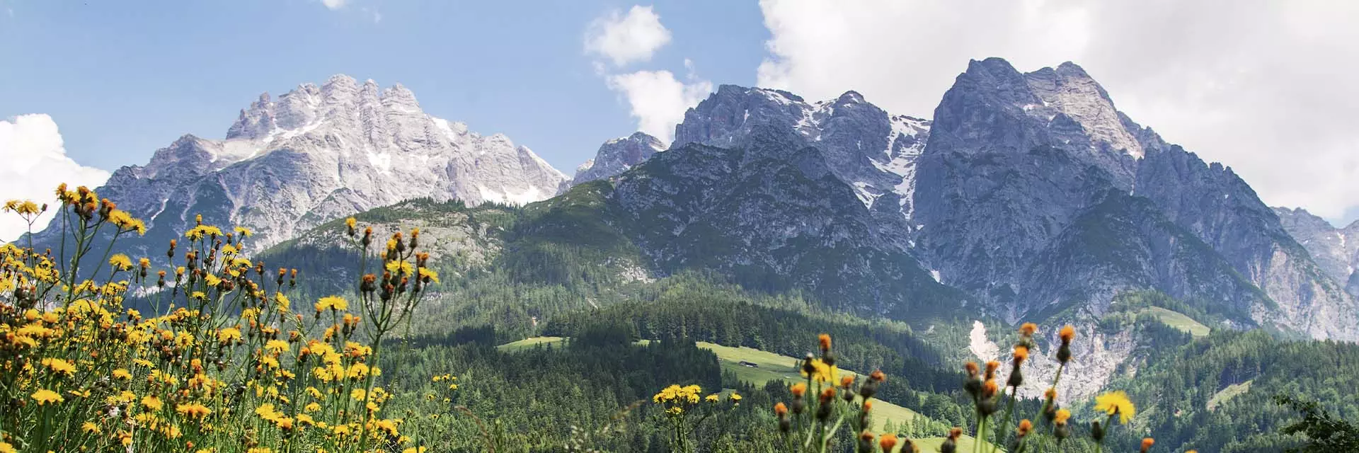 leogang steinberge